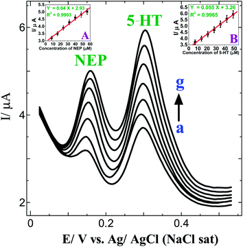 
            DPVs obtained for the addition of 8–56 μM NEP and 7–49 μM 5-HT (curves a–g) at a p-AMTa electrode in 0.2 M PB solution (pH 7.2). Insets: (A) Plot of concentration of NEPvs. current. (B) Plot of concentration of 5-HT vs. current.