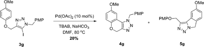 
          Pd-catalyzed direct arylation of 3g. PMP = p-methoxyphenyl.