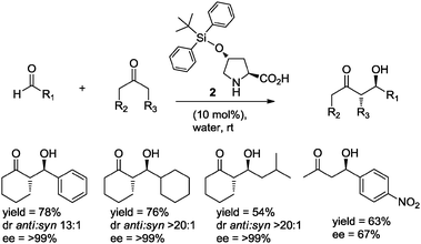 The asymmetric aldol reaction in water catalyzed by 4-tert-butyldiphenylsiloxyproline 2.