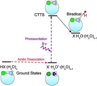 Mechanism of the photodissociation of HX(H2O)n clusters.117,118,122