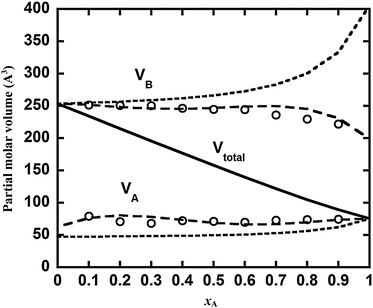 The variation of partial molar volume with mixture composition for simulation 7 in Table 1. Solid line is the total volume; long dash lines are the partial molar volumes determined from the Redlich–Kister expansion (eqn (A2)); short dashed lines are those based on molecular size approximation (eqn (20)); circles are from Kirkwood–Buff theory (eqn (14)).