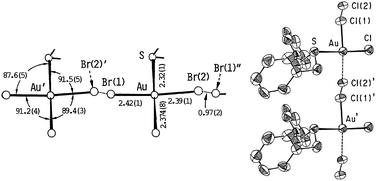 Structures of the compound Au(DBS)X2 (X = Br and Cl) showing the two possible disordered positions for the halogen atoms: X(1) and X(2). (Data collected from ref. 71 and 72. Reproduced with permission of The Chemical Society of Japan.)