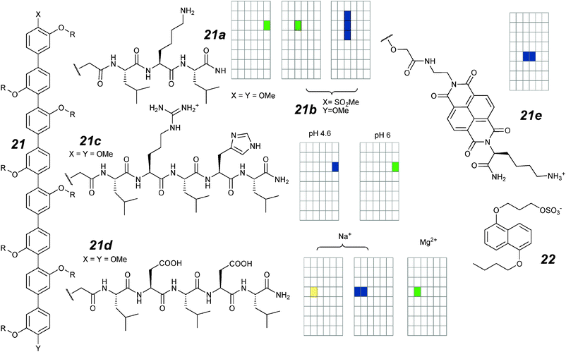 Octiphenyl ion channels and activity grids.