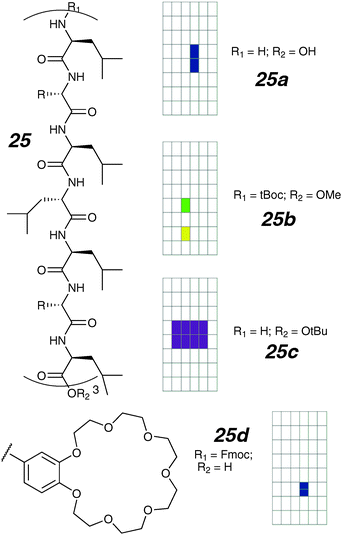 Peptide scaffold ion channels and activity grids.
