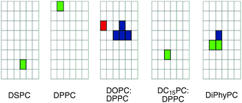 Activity grids of “lipid ion channels” reported: DSPC;134 DPPC;138 DOPC;139 DC15PC;140 DiPhyPC.135