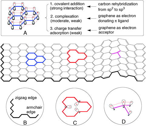 Origin of chemical reactivity of graphene. (A) Intrinsic reactivity arising from the delocalized π-bonding system. (B) Zigzag and armchair edges. (C) Monovacancy. (D) Local structure of a curved graphene sheet. In (A) and (D), the pz atomic orbitals are shown; the dashed lines represent overlap between pz orbitals. In (C), the dangling σ bonds are shown.