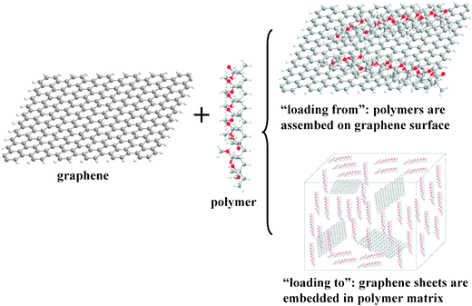 Schematic of processes for the noncovalent attachment of polymers to graphene: “loading from”; “loading to”.