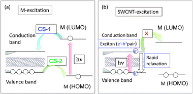 Schematic energy level diagrams for photoinduced CS processes of SWCNT(n,m) hybrids with M (molecule); (a) M-excitation, (b) SWCNT excitation. The curved arrows represent the CS paths and vertical arrows represent the excitation and relaxation processes. Modified from ref. 49.