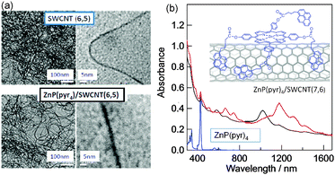 (a) TEM images of SWCNT(6,5) and ZnP(Pyr)4/SWCNT(6,5) at different magnification scales. (b) Absorption spectra of ZnP(Pyr)4/SWCNT(n,m) in DMF (black (6,5) and red (7,6)). Inset: presumed structure, in which the pyrene entities adsorb directly onto the surface of SWCNT, perhaps leaving an appropriate space between ZnP and SWCNT(n,m). Modified from ref. 18.