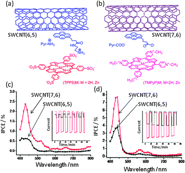 (a) SWCNT(6,5)/PyrNH3+/(TPPS−)M. (b) SWCNT(7,6)/PyrCOO−/(TMPyP+)Zn. (c) IPCE spectra of SWCNT(n,m)/PyrNH3+/(TPPS−)Zn. (d) IPCE spectra of SWCNT(n,m)/PyrCOO−/(TMPyP+)Zn. Inset: On–off current cycle. Modified from ref. 56.
