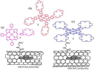 Structures of the nanohybrids of crown ether appended zinc porphyrin and zinc phthalocyanine derivatives with SWCNT(n,m) of different diameters viaPyrNH3+. (a) SWCNT(n,m)/PyrNH3+:(crown)ZnP, (b) SWCNT(n,m)/PyrNH3+:(crown)4ZnP, and (c) SWCNT(n,m)/PyrNH3+:(crown)4ZnPc, (: refers to the inclusion complex). Modified from ref. 59 and 60.