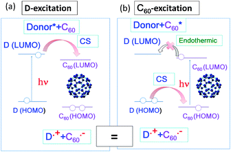 Molecular orbital (MO) diagrams showing photoinduced electron transfer for donor+C60 systems: (a) D-excitation and (b) C60-excitation. For a covalently bonded donor–C60 dyad, similar events would be expected to occur.