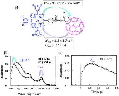 (a) Molecular structure of a covalently linked ZnP∼C60 dyad and experimentally determined rate parameters. (b) Transient absorption spectra of the ZnP∼C60 dyad and (c) time profile of the 1000 nm band corresponding to C60˙− in Ar-saturated PhCN (τRIP is lifetime of RIP). Adapted from ref. 31.