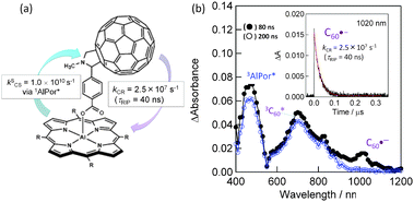 (a) Structure of the AlPor∼C60 dyad and the experimentally determined rate parameters. (b) Nanosecond transient absorption spectra observed with 532 nm laser irradiation in Ar-saturated o-DCB. Inset: absorption-time profile. Adapted from ref. 34.