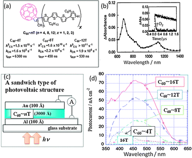 (a) Molecular structures of C60∼nT dyads (x = 4n) and observed rate parameters in PhCN at RT. (b) Nanosecond transient absorption spectrum of C60∼4T in PhCN at 100 ns after 532-nm laser irradiation. Inset: absorption time profile at 680 nm in the absence and presence of O2. Adapted from ref. 37 and 38. (c) Design of the organic thin-layer solar cells. (d) Photocurrent vs. wavelength of nT-C60 dyads in comparison with nT. Adapted from ref. 39.