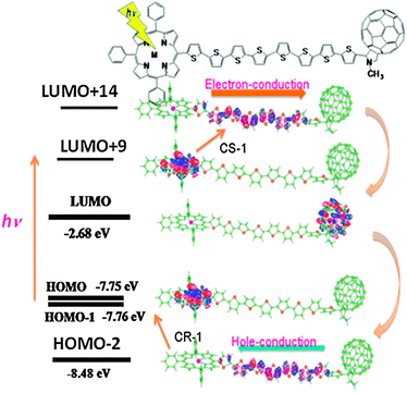 MO representation of the CS and CR processes of ZnP∼8T∼C60. The HOMO is localized on the ZnP moiety; the light excitation raises the electron to the LUMO+9 localized on the ZnP moiety; the electron of LUMO+9 jumps up to LUMO+14 localized on the 8T moiety; the electron falls down to the LUMO localized on the C60 moiety, generating the stable ZnP˙+∼8T∼C60˙−. As for the CR process, the electron of the HOMO−2 localized on the 8T moiety jumps up to the HOMO; then, the electron of the LUMO on the C60˙− moiety falls down to the HOMO−2, returning to the original neutral molecule. Adapted from ref. 20.