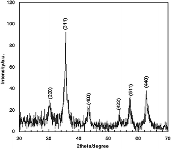 The powder X-ray diffraction pattern of the Fe3O4 nanoparticles.