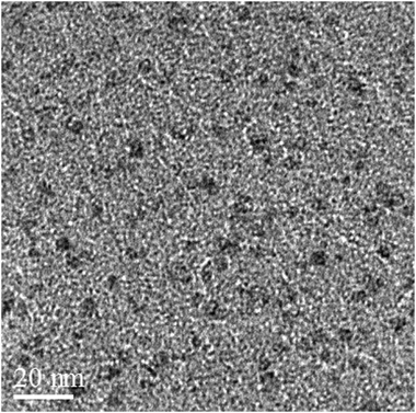 TEM image shows spherical Fe3O4 nanoparticles of 10–20 nm.