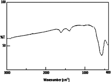 FT-IR spectra of Fe3O4 nanoparticles.