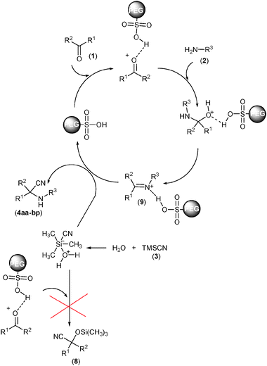 Plausible mechanism for the Strecker reaction of carbonyl compounds (1) and amines (2) with TMSCN (3) catalyzed by PEG-OSO3H in water.