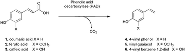 Reactions catalysed by phenolic acid decarboxylases.