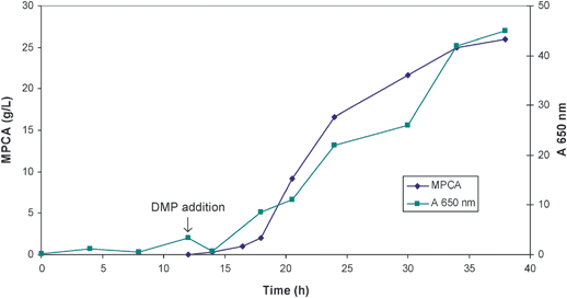 Production of MPCA by oxidation on DMP (growth measured at 650 nm).