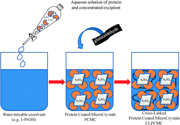 Schematic procedure for the obtainment of protein microcrystals.