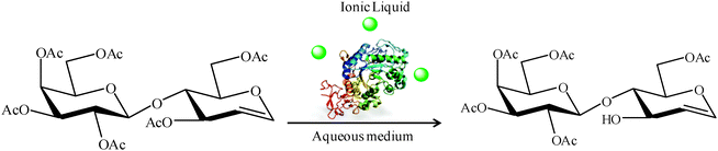 Regioselective deprotection of peracetylated lactal in the presence of small amounts of an ionic liquid.