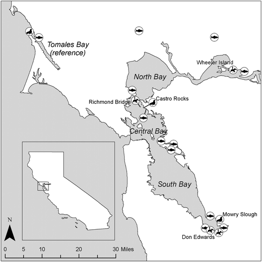 Location of seal, bird, and small fish sampling sites.