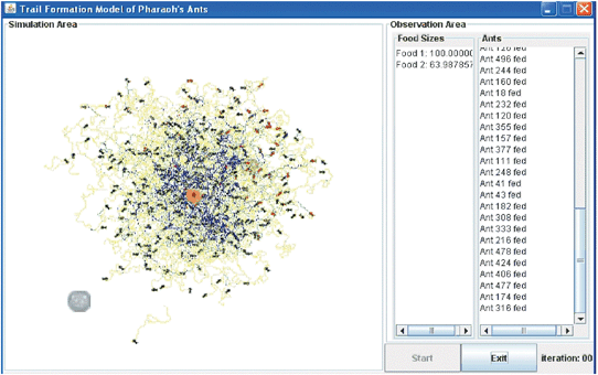 Screenshot of a simulation of a realistically sized colony of M. pharaonis using a supercomputer.