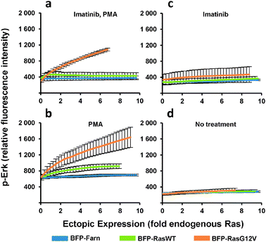 p-Erk response to increasing ectopic Ras expression. PD-31 cells were transduced with retroviral vectors that utilize synthetic promoters to express BFP fused to wild-type Ras (BFP-RasWT), oncogenic Ras (BFP-RasG12V), or a farnesylation signal (BFP-Farn control). Cells were treated with combinations of imatinib and phorbol-12-myristate-13-acetate. (a–d) Dose-response determined from analysis of cells transduced with a vector mixture employing different synthetic promoters (shotgun transduction). Values are arithmetic means ± s.d. (n = 3) calculated from geometric means of each sample population.