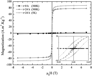 Magnetization curves of iron oxide nanoparticles synthesized at RT and pH 9 aliquoted at t = 0 h and t = 24 h, and measured at 300 K and 5 K. The inset shows a zoom into the low magnetic field region.
