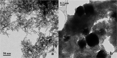 TEM image of multiphase nanoparticles synthesized at RT and pH 7 with (a) goethite acicular nanoparticles and (b) siderite square crystals over goethite nanoparticles.