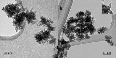 TEM image of nanoparticles synthesized at RT and pH 8 with (a) nearly square shaped forming aggregates and (b) remaining acicular goethite nanoparticles present as seen in the inset.