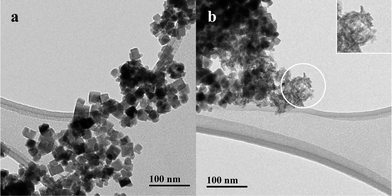 TEM images of iron oxide NPs synthesized at RT and pH 10 showing (a) the predominant square shape and (b) remaining acicular goethite nanoparticles present (magnified view in the inset).