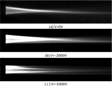 The experimental ray-tracing results for focusing mode under various electric fields in the cladding streams and fixed flow rates of core fluid and cladding fluids: (a) 0 V; (b) −2000 V; (c) −5000 V.