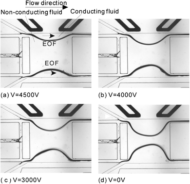 The interfacial shape of the optofluidic bi-concave lens in diverging mode based on the different applied voltages and fixed flow rates. The flow rates of core stream and cladding stream are all 0.5 ml h−1: (a) 4500 V; (b) 4000 V; (c) 3000 V; (d) 0 V.