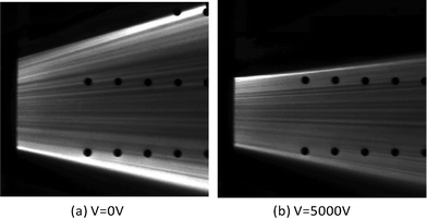 The experimental ray-tracing results for the diverging mode with an electric field in the cladding stream and a fixed flow rate of core fluid and cladding fluids: (a) 0 V; (b) 5000 V.