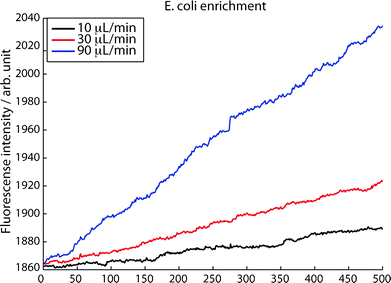 Capture rate of individually captured E. coli (50 bacteria μL−1) at three different flow rates, an increased capture rate is observed at increased flow rates.