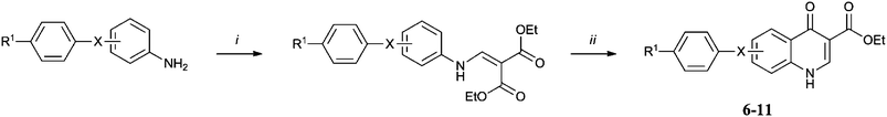 Reagents and conditions: (i) diethyl ethoxymethylenemalonate, 100 °C, 12 h; (ii) Dowtherm A, 240 °C, 1 h.