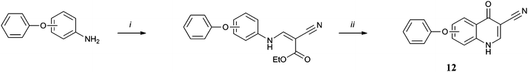 Reagents and conditions: (i) ethyl (ethoxymethylene) cyanoacetate, 120 °C, 12 h; (ii) Dowtherm A, 240 °C, 12 h.