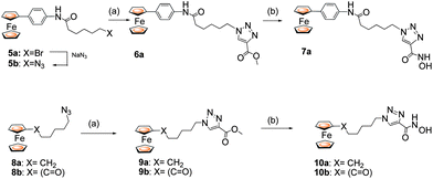 Reagents and conditions: (a) CuI (20 mol %), DIPEA (1.1 eq.), 60 °C, 1 h. (b) NH2OH·HCl, KOH.
