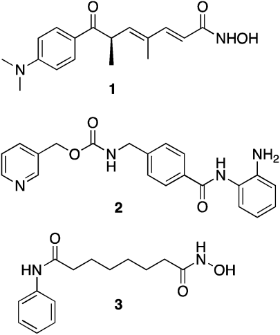 Structures of trichostatin A (1), MS-275 (2) and SAHA (3).