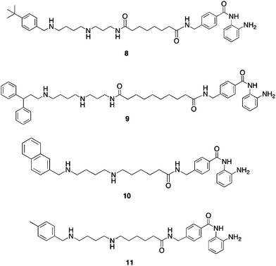 Structures of PABA HDAC inhibitors8–11.