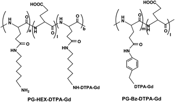 Structures of PG-Hex-DTPA-Gd and PG-Bz-DTPA-Gd (adapted from ref. 140).
