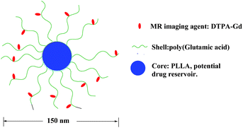 Schematic model of the micellar structure with DTPA-Gd chelated to the shell layer (adapted from ref. 141).