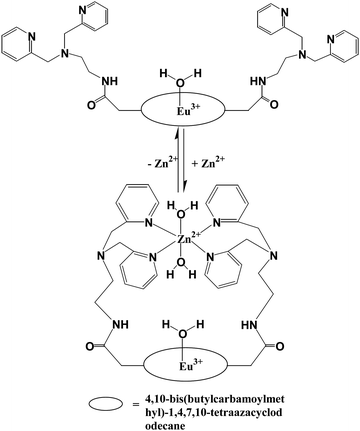 Hypothetical structures of [Eu(dotampy)] in the presence and absence of Zn2+ ions (adapted from ref. 65).