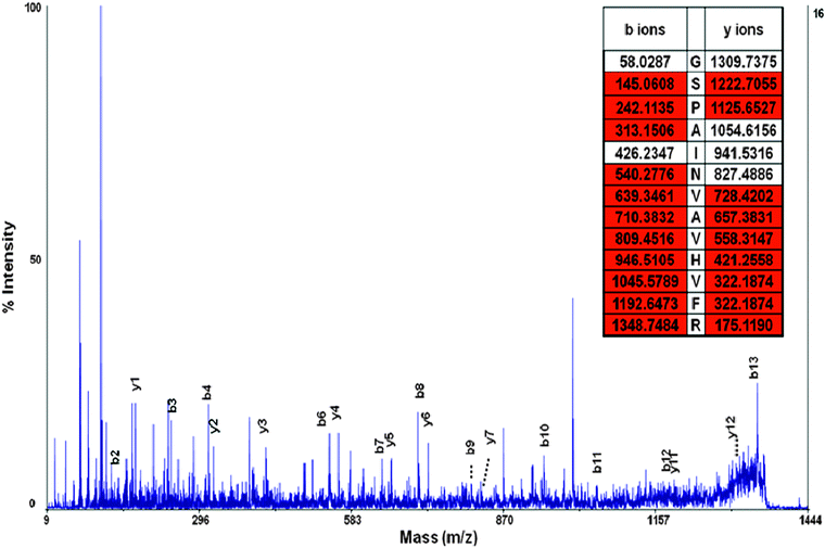 
            MS/MS
            spectra of peptide GSPAINVAVHVFR. y and b ions are labeled and the peptide has excellent sequence coverage. The peptide fragment was used to identify the transthyretin precursor protein, a protein known to be associated with selenium and CSF.