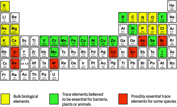 Elements essential for life in the periodic table of the elements.1