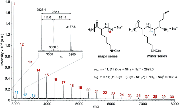 
            MALDI ToF MSspectrum of PZLL prepared via HMDS-mediated polymerisation recorded in linear/positive mode using α-CHCA/NaI. The numbers on the MSspectrum denote the number of repeating units of PZLL (repeat unit = 262.3 m/z); Inset shows expanded section of MSspectrum complete with peak m/z values and m/z differences.